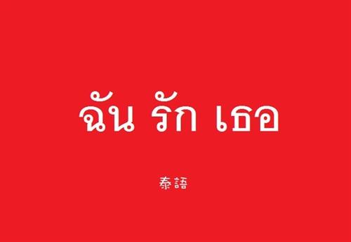 如何保證泰語翻譯質(zhì)量 如何保證泰語翻譯質(zhì)量