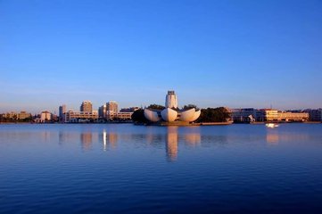 1546823832320951.jpg 1.jpg