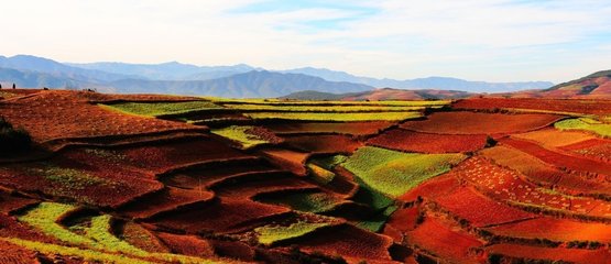 1546831604729037.jpg 1.jpg