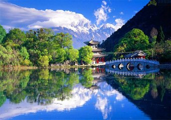 1546833816915568.jpg 1.jpg