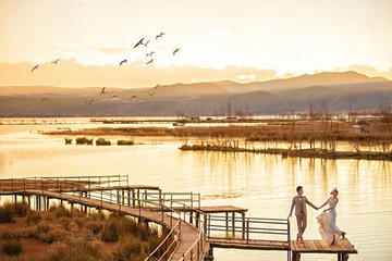 1546833828528877.jpg 2.jpg