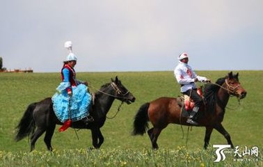 1546843222897033.jpg 1.jpg