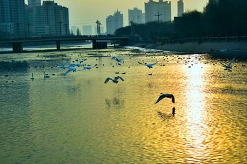 1546843477677233.jpg 2.jpg