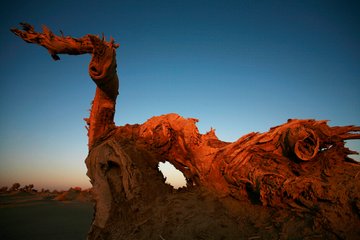 1546843604242665.jpg 2.jpg