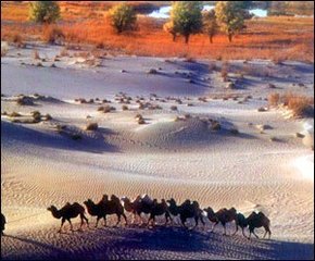 1546844261568784.jpg 1.jpg