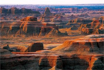 1546844694623985.jpg 2.jpg