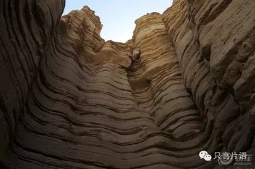 1546844795843251.jpg 1.jpg