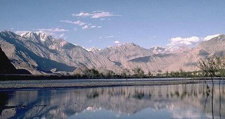 1546845047150288.jpg 2.jpg