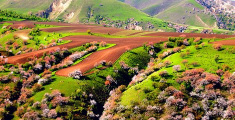 1546845159573100.jpg 2.jpg