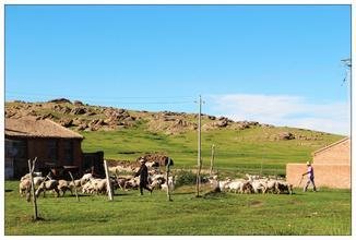 1546845273731713.jpg 2.jpg