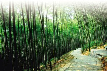 1546865627849934.jpg 1.jpg