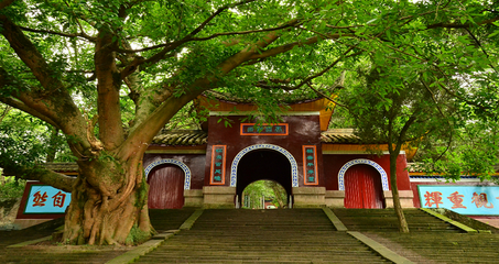 1546865810962591.png 1.png