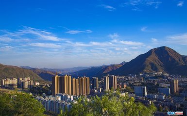 1546909472687028.jpg 1.jpg