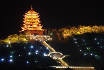 1546912667110251.jpg 1.jpg