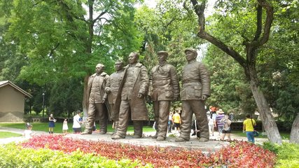 1546920259321019.jpg 2.jpg