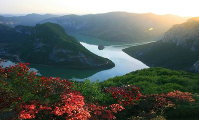 1546923994212121.jpg 2.jpg