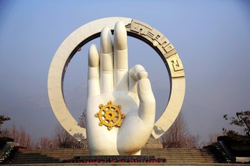 1546925593699003.jpg 1.jpg