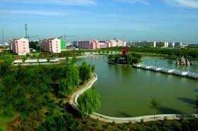 1546927167774547.jpg 2.jpg