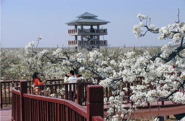 1546927902276601.jpg 1.jpg