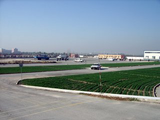 1546928017338682.jpg 1.jpg