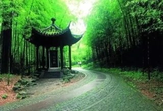 1546944062938354.jpg 2.jpg