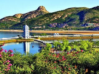 1546945100775984.jpg 1.jpg