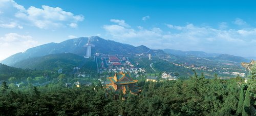 1546946526475206.jpg 1.jpg