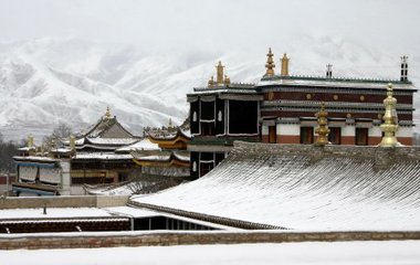 1546949036516549.jpg 2.jpg