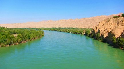 1546949225524423.jpg 2.jpg