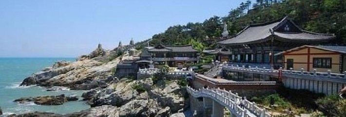 1546949308551637.jpg 1.jpg