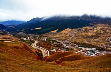 1546949524645016.jpg 2.jpg