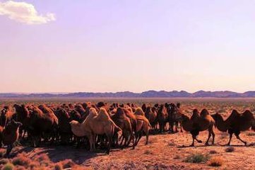 1546949739316152.jpg 2.jpg