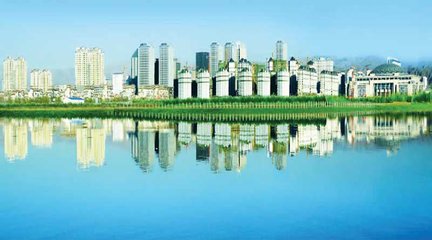 1546949838233555.jpg 2.jpg