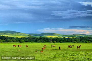 1546950360131262.jpg 1.jpg