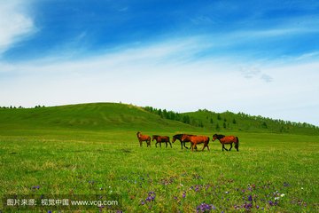 1546950368683457.jpg 2.jpg