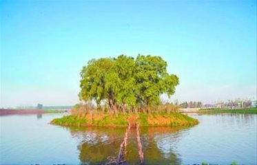 1547035636956987.jpg 1.jpg