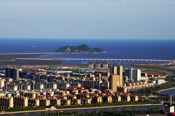 1547035813343330.jpg 1.jpg