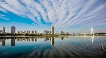 1547116398696092.jpg 1.jpg