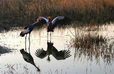 1547117701556233.jpg 1.jpg