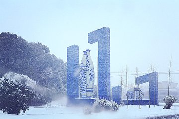 1547119138740463.jpg 1.jpg