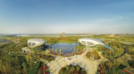 1547286252352819.jpg 1.jpg