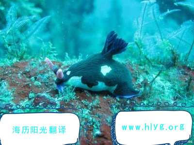1713829437989516.jpg 導(dǎo)游詞.jpg
